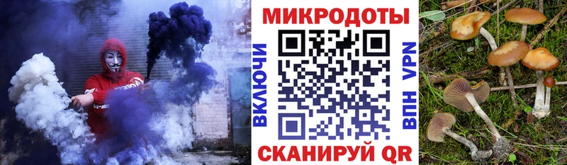 закладка  Ялта  Галлюциногенные грибы Cubensis 